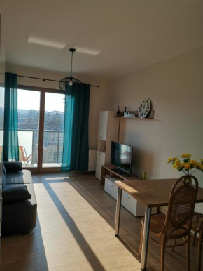 Starowiejska Apartament